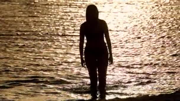 Krásná žena má teplou mořskou vodu v Miami při západu slunce — Stock video