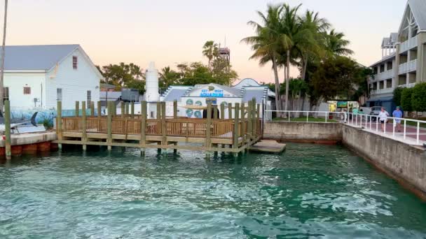 Key West Aquarium é um lugar popular para turistas - CHAVE WEST, ESTADOS UNIDOS - FEVEREIRO 20, 2022 — Vídeo de Stock