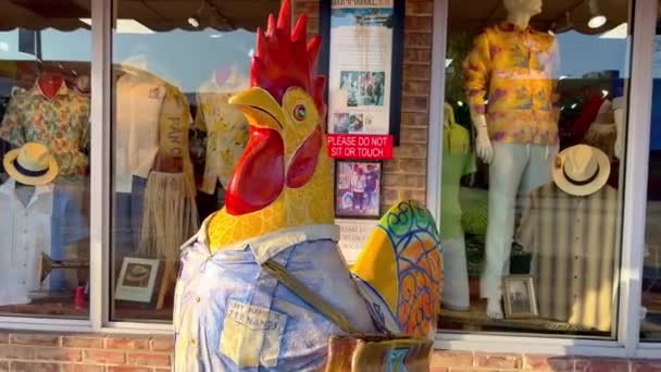 Los famosos gallos de Little Havana Calle Ocho - MIAMI, ESTADOS UNIDOS - 20 DE FEBRERO DE 2022 — Vídeos de Stock