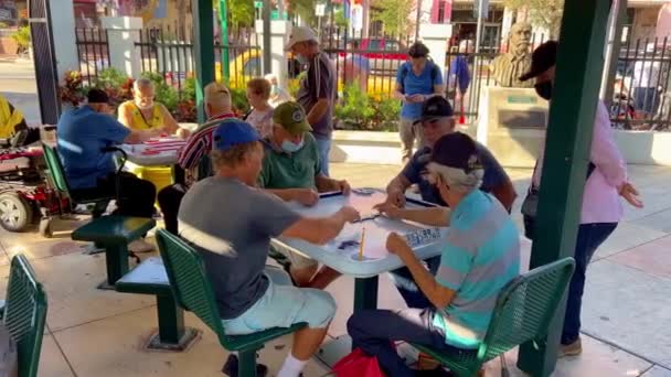 Miami, Little Havana 'daki Dominao Park' ta Domino 'culuk oynamak - MIAMI, Birleşik Devletler - 20 Şubat 2022 — Stok video