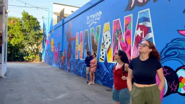 Pinturas murales hermosas en Little Havana Calle Ocho - MIAMI, ESTADOS UNIDOS - 20 DE FEBRERO DE 2022 — Vídeos de Stock