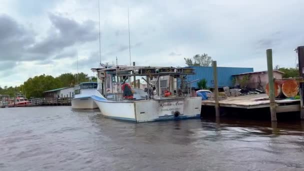 Diviértete en un tour en Airboat por los Everglades - EVERGLADES CITY, ESTADOS UNIDOS - 20 DE FEBRERO DE 2022 — Vídeo de stock