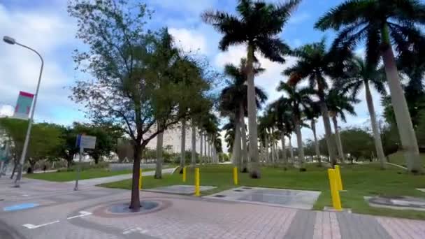 Maurice Ferre Park in het centrum van Miami - MIAMI, Verenigde Staten - FEBRUARI 20, 2022 — Stockvideo