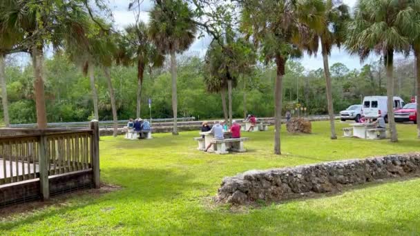 Big Cypress National Preserve vid Everglades - EVERGLADES CITY, FÖRENADE STATERNA - and RUARI 20, 2022 — Stockvideo