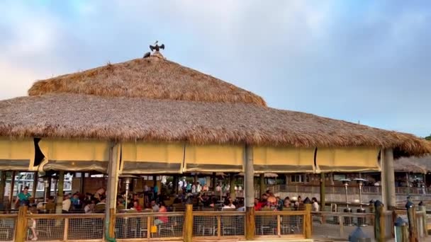 Bayside Marina na Islamorada je oblíbeným místem k odpočinku a užít si západ slunce - ISLAMORADA, SPOJENÉ STÁTY - FEBRUARY 20, 2022 — Stock video