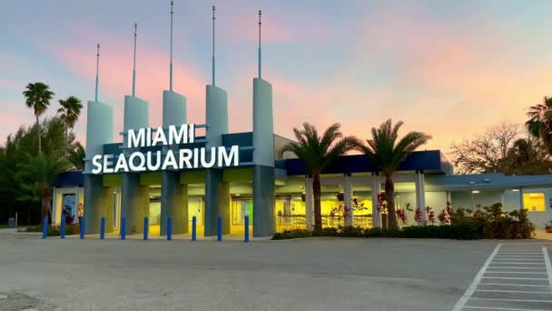 Miami Seaquarium at Key Biscayne - MIAMI, Egyesült Államok - 2022. február 20. — Stock videók