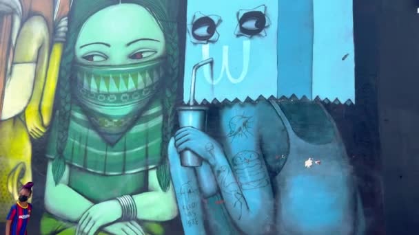 Les superbes peintures murales de Wynwood Miami - MIAMI, ÉTATS-UNIS - 20 FÉVRIER 2022 — Video