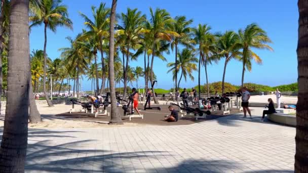 Palmiers à Ocean Drive Miami Beach - MIAMI, ÉTATS-UNIS - 20 FÉVRIER 2022 — Video