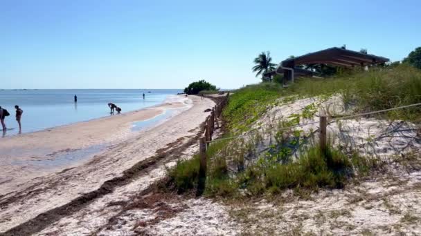 Beach of Curry Hammocks State Park on the Florida Keys - ISLAMORADA, ESTADOS UNIDOS - 20 DE FEBRERO DE 2022 — Vídeo de stock