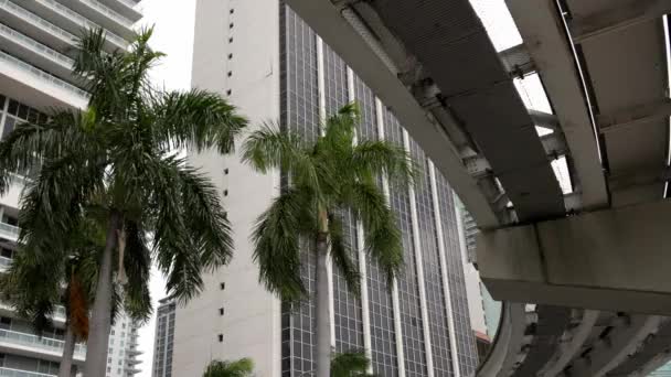 Monorail Metromover spår i centrala Miami — Stockvideo