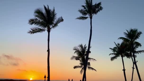 Siluetas de palmeras contra un cielo al atardecer en una playa paradisíaca — Vídeos de Stock