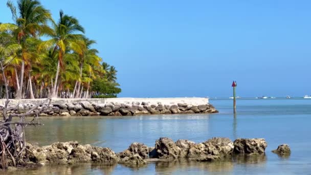 Curry Hangmat Beach op de Florida Keys — Stockvideo