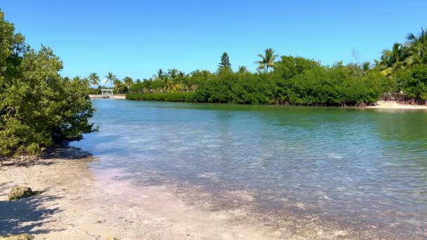 Krásná pláž s palmami na Florida Keys — Stock video