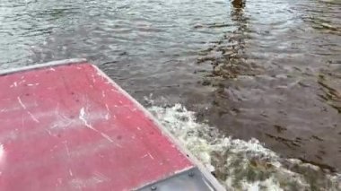 Bataklık Bataklığı Everlades 'te Mangrove Ormanı' ndan geçiyor.