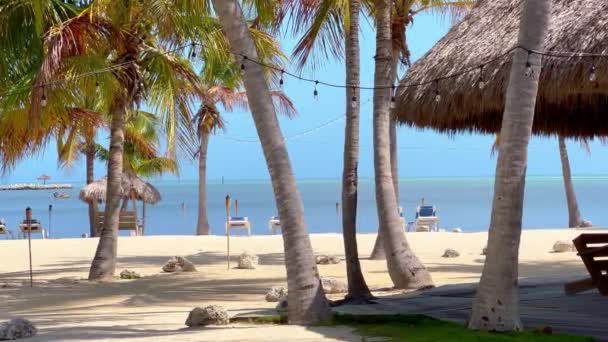 Prachtig Carribean Paradise Beach met palmbomen — Stockvideo