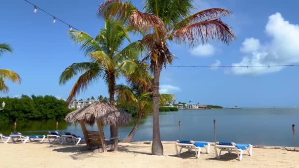 Jovem relaxante em uma praia de Carribean — Vídeo de Stock