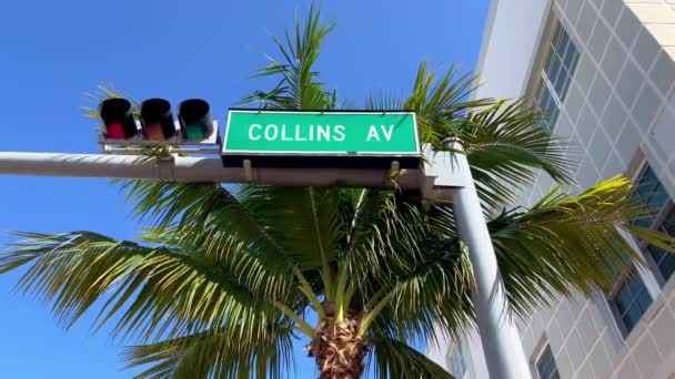 Collins avenue ulicy znak w miami beach — Wideo stockowe
