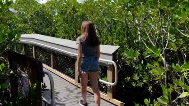 Νεαρή γυναίκα διασχίζει ένα δάσος Μάνγκροβ στη Φλόριντα. — Αρχείο Βίντεο
