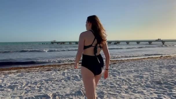Caminhando pela praia de Higgs em Key West ao pôr-do-sol — Vídeo de Stock