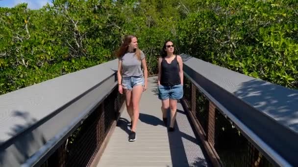 Dos chicas caminando por un bosque de manglares en Florida — Vídeos de Stock