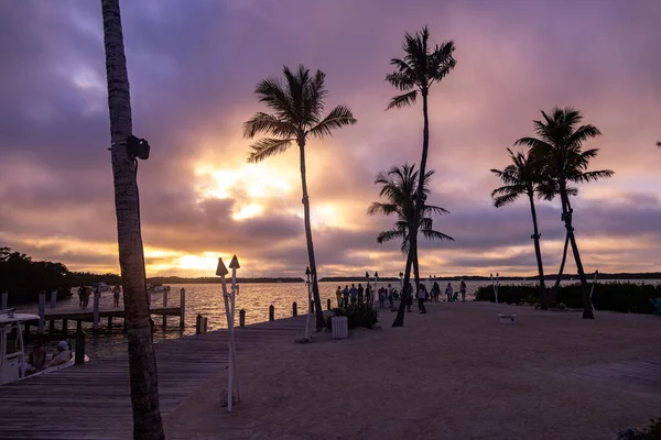 Naplemente a trópusi tengerparton pálmafákkal — Stock Fotó