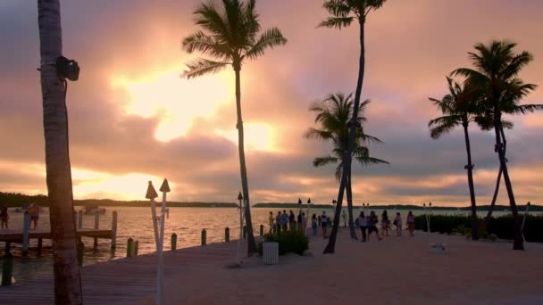 Krásné tropické molo na Florida Keys - KEY WEST, FLORIDA - FEBRUARY 14, 2022 — Stock video