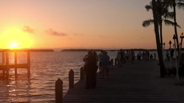 Bellissimo molo tropicale sulle Florida Keys - CHIAVE OCCIDENTALE, FLORIDA - 14 FEBBRAIO 2022 — Video Stock