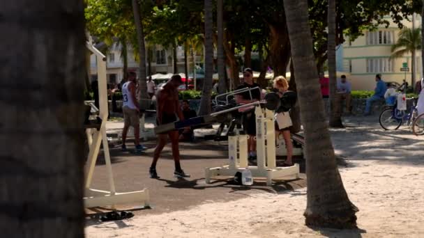 Muscle Beach Area vid South Beach Miami - MIAMI, FLORIDA - ΦRUARI 14, 2022 — Stockvideo