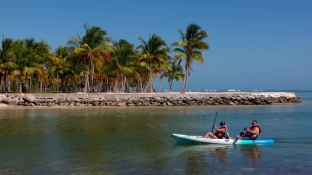 Maravillosa bahía tropical en los Cayos de Florida - KEY WEST, FLORIDA - 14 de FEBRERO de 2022 — Vídeos de Stock