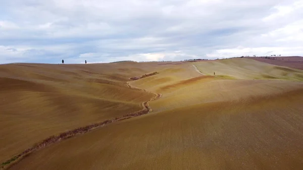 Toscana colorida - la vista típica sobre los campos rurales del desierto de Acconia — Foto de Stock