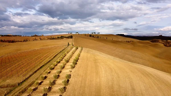 Magnifiques champs toscans en automne - belle Toscane Italie — Photo