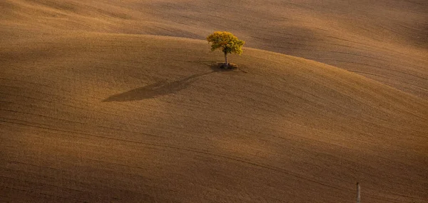 Kolorowa Toskania - typowy widok na pola wiejskie i wzgórza — Zdjęcie stockowe