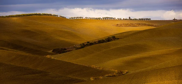 Vedere tipică în Toscana - câmpurile și dealurile rurale colorate — Fotografie, imagine de stoc