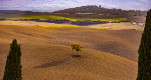 Colorida Toscana - vista típica de los campos rurales y colinas —  Fotos de Stock