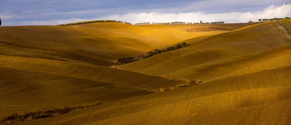 Câmpuri rurale tipice și peisaj în Toscana Italia — Fotografie, imagine de stoc