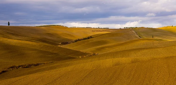 Typische landelijke velden en landschap in Toscane Italië — Stockfoto