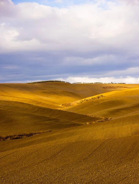 Tuscany yang berwarna di Italia - lanskap yang khas dan bidang perdesaan dari atas — Stok Foto