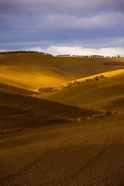 Красочная Тоскана в Италии - типичный пейзаж и сельские поля сверху — стоковое фото