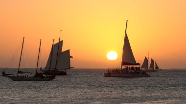 Günbatımında Key West sahilinde yelkenli sürüyor.