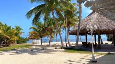 Palmiye ağaçlarıyla Karayip Cennet Sahili