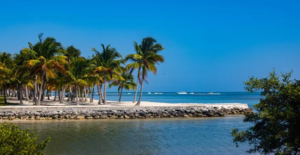 Wspaniała tropikalna rajska plaża z palmami — Zdjęcie stockowe