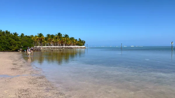 Plaża Curry Hammocks State Park na Florydzie Keys - ISLAMORADA, Stany Zjednoczone - LUTY 20, 2022 — Zdjęcie stockowe