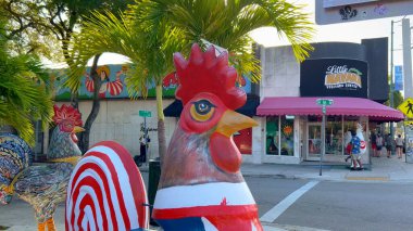 Little Havana Calle Ocho 'daki ünlü horozlar - MIAMI, Birleşik Devletler - 20 Şubat 2022