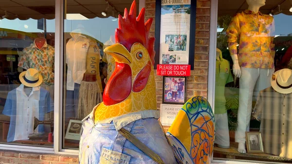 Los famosos gallos de Little Havana Calle Ocho - MIAMI, ESTADOS UNIDOS - 20 DE FEBRERO DE 2022 — Foto de Stock
