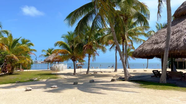 Cudowna Paradise Beach na Florydzie Keys - ISLAMORADA, Stany Zjednoczone - LUTY 20, 2022 — Zdjęcie stockowe