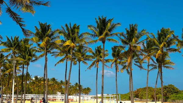 South Beach Miami em um dia ensolarado - MIAMI, FLORIDA - FEVEREIRO 14, 2022 — Fotografia de Stock