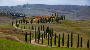 Toskana 'nın ünlü simgesi - Girit Senesi - TUSCANY, İtalya - 24 Kasım 2021 - Seyahat fotoğrafçılığı