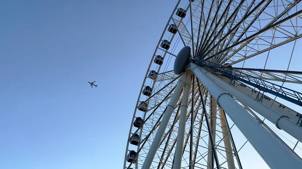 A roda gigante no centro de Miami — Fotografia de Stock