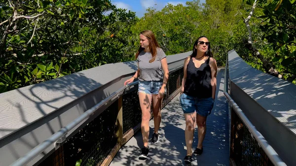 Gruppe von Menschen besucht einen Mangrovenwald in Florida — Stockfoto