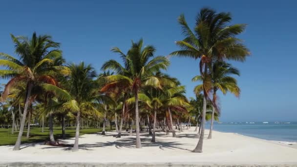 Underbar tropisk strand i Karibien — Stockvideo